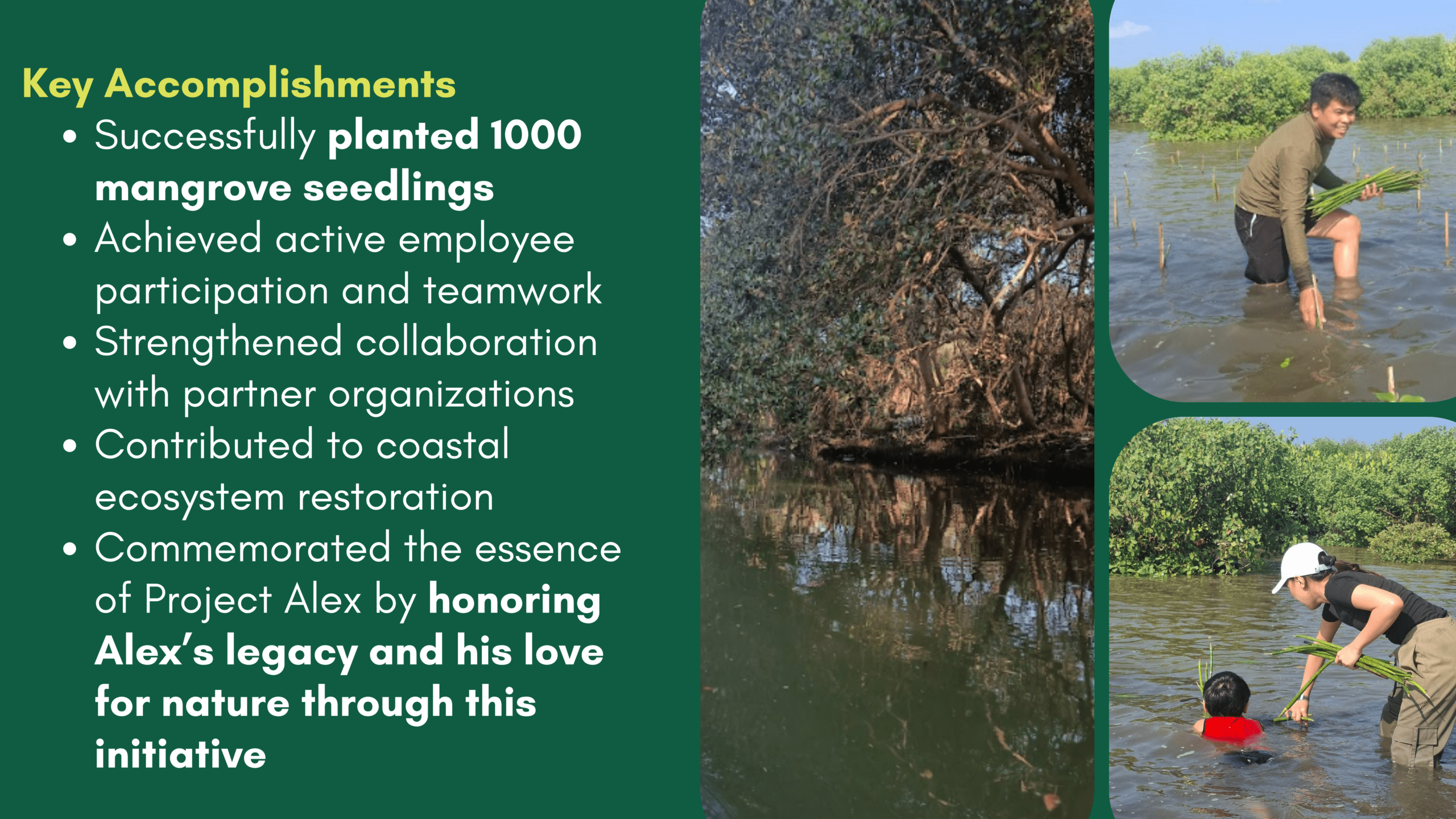 Group of people tree planting